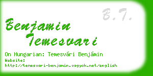 benjamin temesvari business card