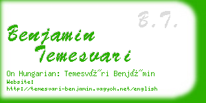 benjamin temesvari business card